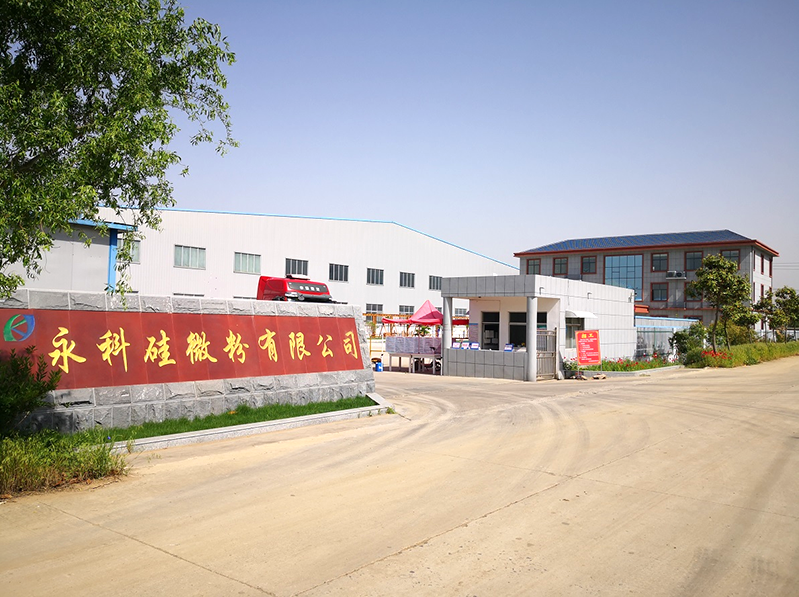 公司环境